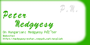 peter medgyesy business card